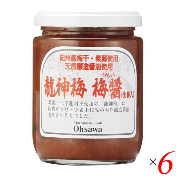 龍神梅 梅醤（生姜入）250g 6個セット オーサワ