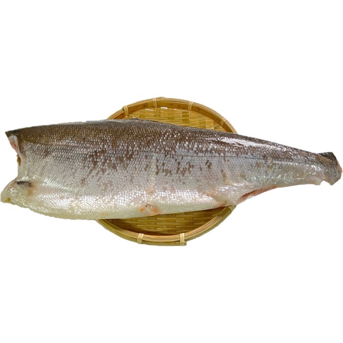 【前田水産】【訳あり】紅鮭使用甘塩半身　2枚（1枚約900ｇサイズ）　真空冷凍　ロシア産　べにさけ　紅サケ　さけ　サケ　べに　しゃけ　シャケ　焼き魚　朝食　肴　お中元　お歳暮　母の日　父の日