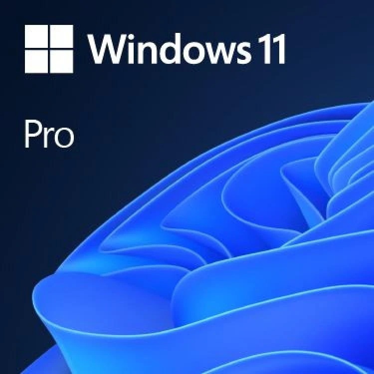 Windows 11 Pro 64bit ���{�� DSP��