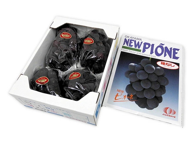 岡山産 =種なしニューピオーネ= 3-5房 約2kg ちょっと訳あり 化粧箱 ぶどう 予約 7月中旬以降