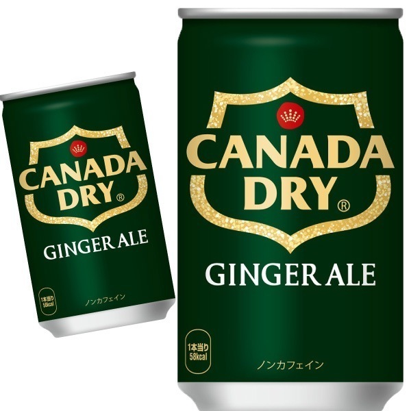 カナダドライ ジンジャーエール 160ml 90本 （30本入3ケース）