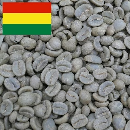 最大80％オフ！ ボリビア 5kg コーヒー生豆 ソルデラマニャー 大山珈琲 Qグレード レギュラーコーヒー