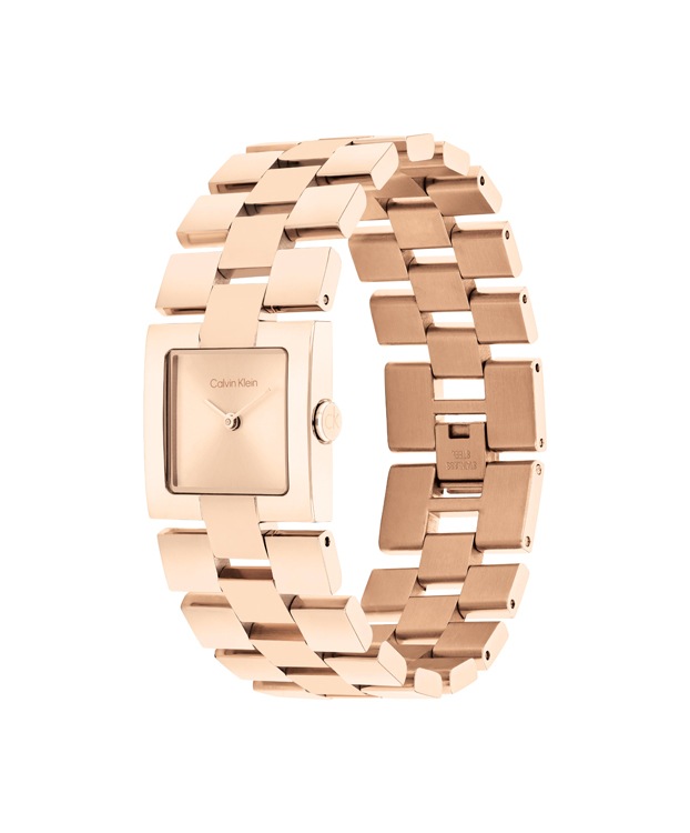 カルバン・クライン 【国内正規品】MERIDIAN クオーツ　レディースタイプ 25100090