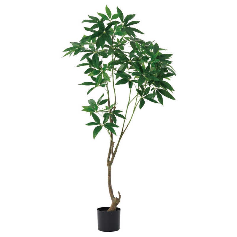 アスカ商会　フェイクグリーン パキラ グリ-ン　A-51110-051A