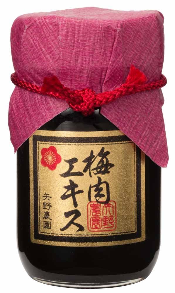 [豊の香梅] 梅肉エキス90g 無添加 国産 塩分不使用 すっぱい クエン酸 大分県大山町産青梅使用