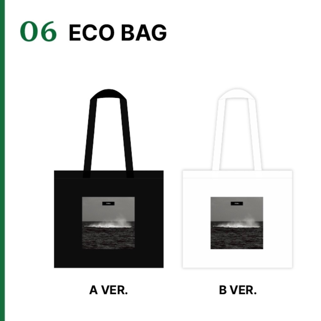 BTS グテエコバッグ DHgate.com:BTS Jungkook Canvas Tote Bag Aesthetic Womens