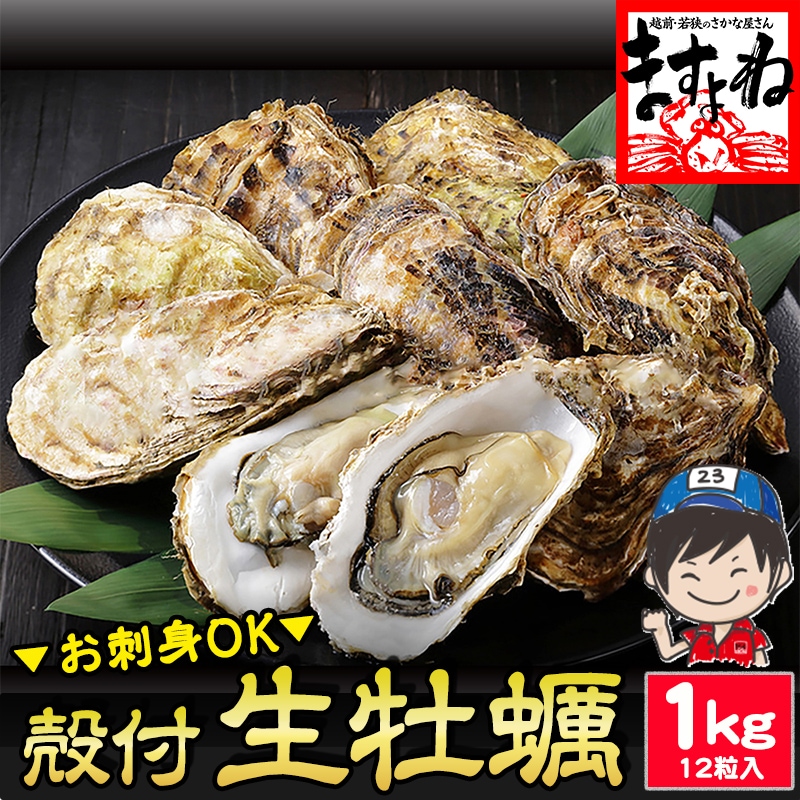 お刺身OK！兵庫県室津産 殻付き牡蠣 1kg前後(約12粒入) (冷凍) 簡単殻むき！ 殻付き生カキ 【ギフトのし対応】