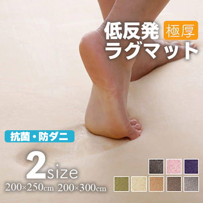 抗菌防ダニ低反発ラグ 極厚 25mm LXLサイズ ラグマット 厚手 滑り止め 西海岸 マット　ラグ 6,915円