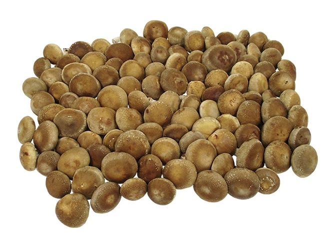 =特大 ジャンボ生しいたけ= 約4kg 産地厳選 予約 入荷次第発送