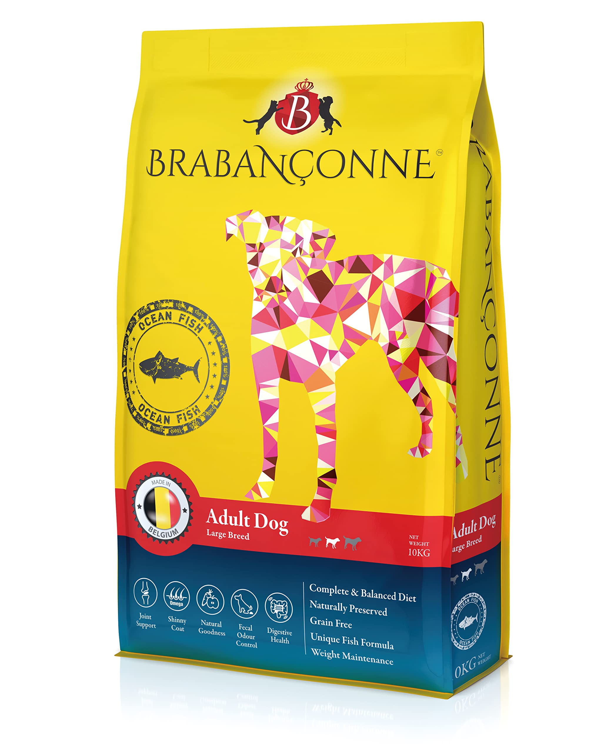 ブラバンソンヌ 大型犬 中型犬 成犬用 グレインフリー ドッグフード オーシャンフィッシュ 10kg ベルギー産 ドライ 消化器ケア 尿路ケア BRABANCONNE