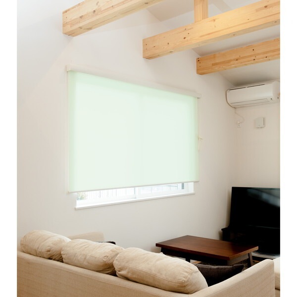Fullness L3511 RSエクシヴ 90X220 GR グリーン カバー付ロールスクリーン 無地タイプ 90×220cm メーカー直送