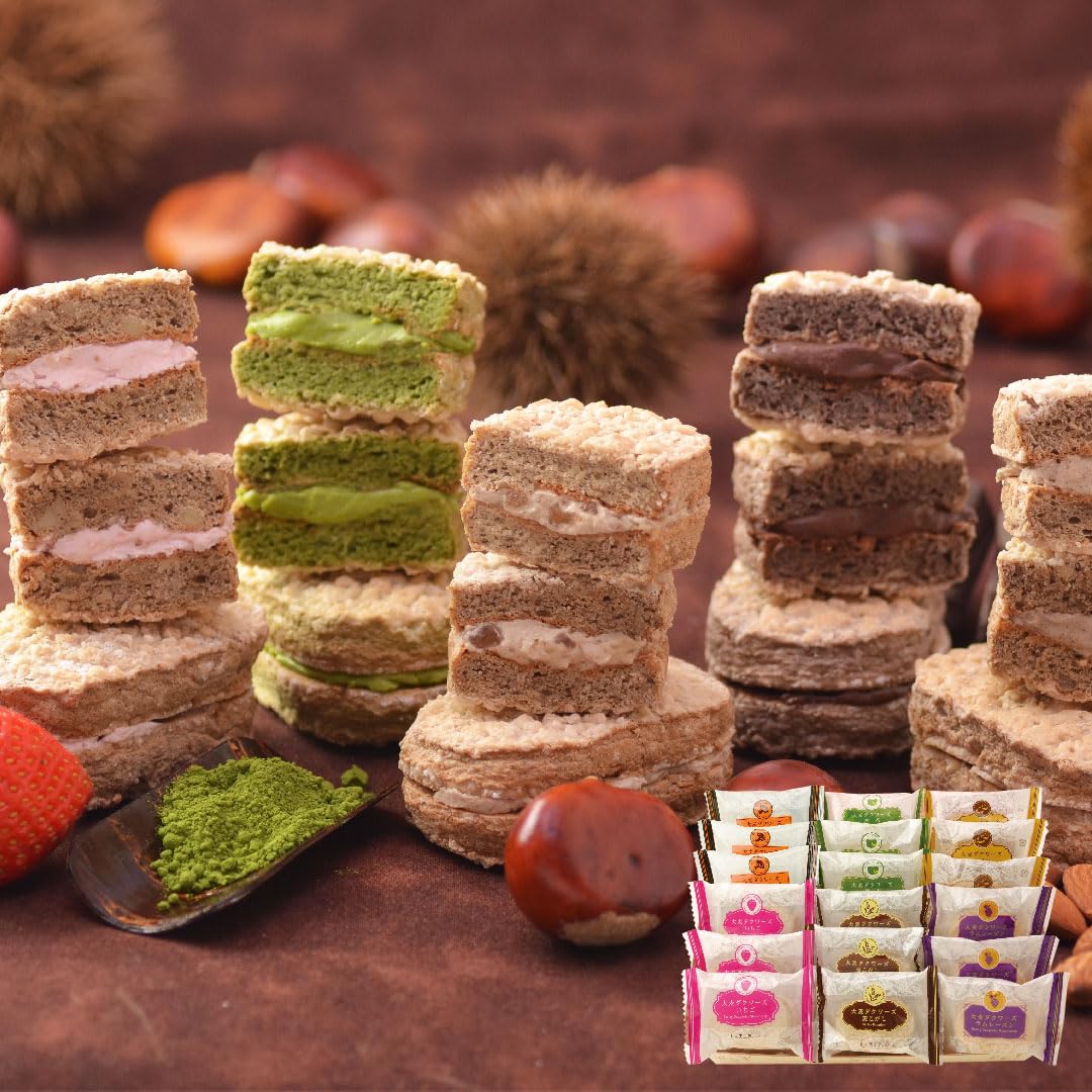 【おおむぎ工房ロア】 大麦 ダクワーズ A 6種 18個入 いちご 抹茶 ラム レーズン カカオ チョコ など お菓子 おやつ おかし ギフト ダックワーズ 母の日 父の日