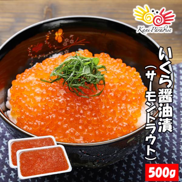 いくら醤油漬け サーモントラウト 500g(250g*2パック入り) 北欧サーモン いくら イクラ 小粒 海鮮 丼 手巻き 食品 ギフト 贈り物 5,681円