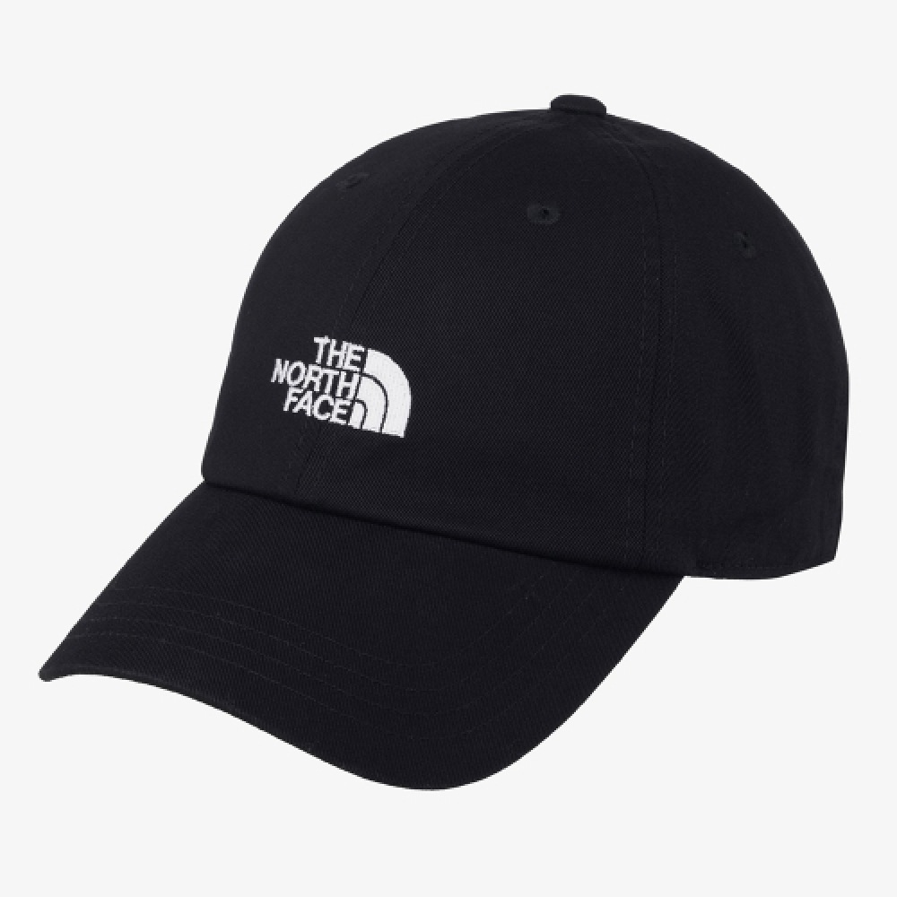 THE NORTH FACE ロゴ ボールキャップ NE3CR01J