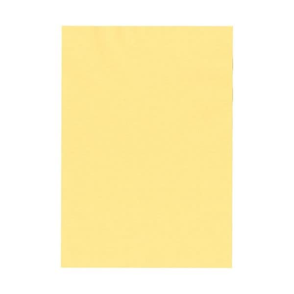 北越コーポレーション 紀州の色上質 A4 Y目 超厚口 クリーム 1箱(800枚：100枚×8冊)