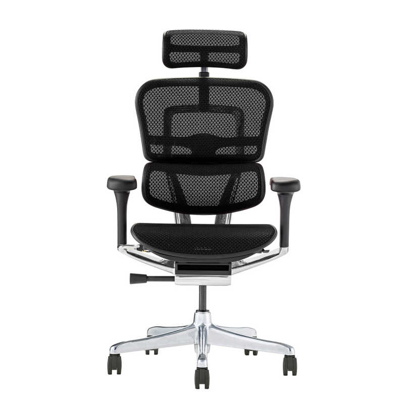 関家具　エルゴヒューマン Ergohuman 新基盤モデル エルゴヒューマン2 プロハイタイプ ブラックフレーム EHP2-HAM-DR-BF-BK ブラック　445406