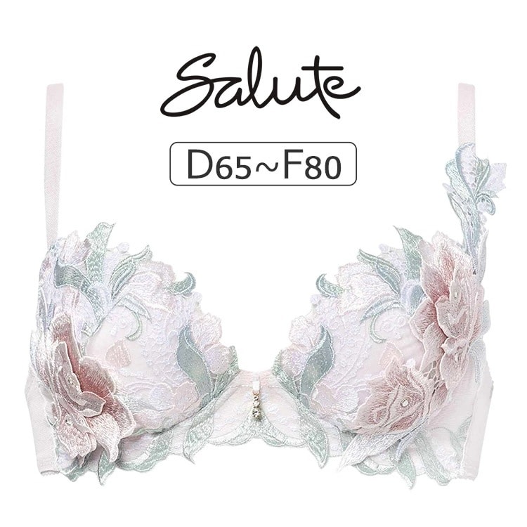 ワコール サルート 22G ブラジャー単品 P-upタイプ DEFカップ アンダー 65/70/75/80cm BTJ422