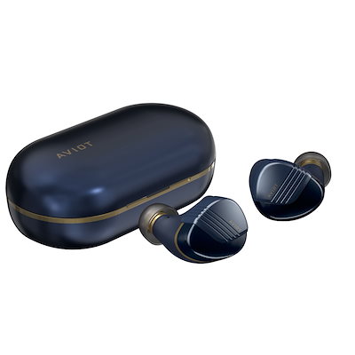 在庫処分 aviot イヤホン TE-J1 ノイズキャンセル ハイレゾ AVIOT TE