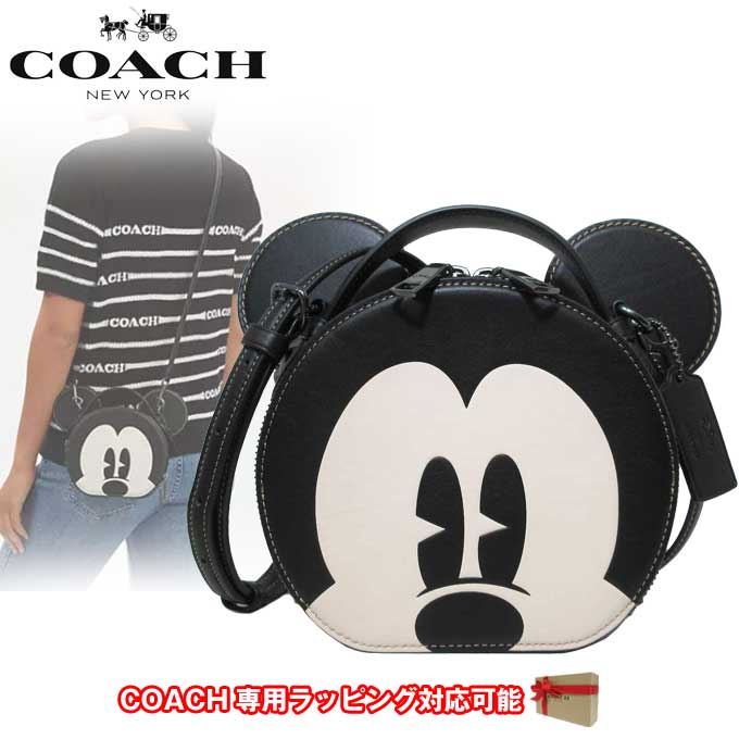 ディズニー コラボ ミッキー キャンティーン CM840 QB/M2【国内即送】