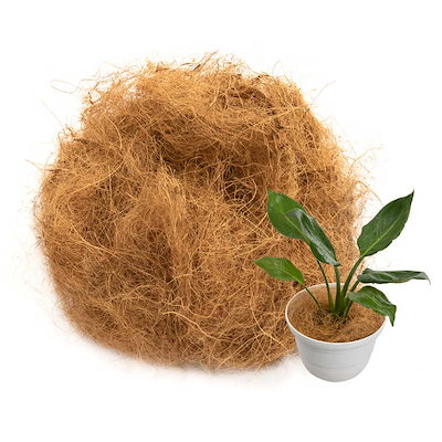 他サイト： アストロ　ココヤシファイバー 100g　624-02の商品画像