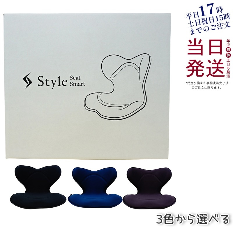 全3色 MTG スタイル スマート Style SMART 椅子 クッション 姿勢 腰 背中 正しい姿勢 ギフト プレゼント 産後 猫背 ケア グッズ