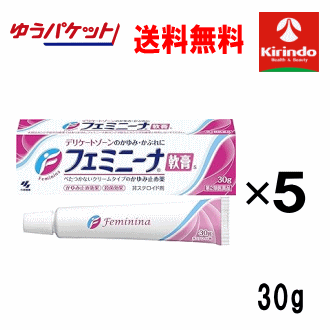 ゆうパケットで送料無料 5個セット【第2類医薬品】小林製薬 フェミニーナ軟膏S 30ｇ入×5個 セルフメディケーション税制対象商品 Class 2 drugs