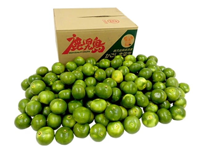 鹿児島産 =パンダリンみかん= 秀品 小粒限定 2S/Sサイズ 約10kg 予約 9月下旬以降