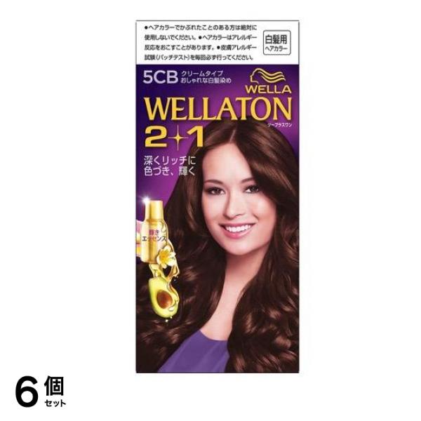 トーン2+1(ツープラスワン) クリームタイプ 5CB 自然なナチュラルブラウン [A剤60g+B剤60g+エッセンス7.3mL] 1個 6個セット