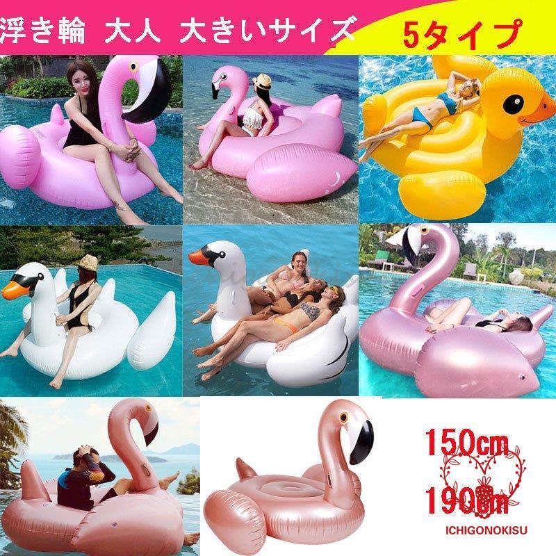 【急速出荷】浮き輪 フロート 大人 取っ手 うきわ 浮輪 フラミンゴ 白鳥 インスタ映え 可愛い かわいい おしゃれ プール 海水浴 ビーチ 大きいサイズ 150cm 190cm