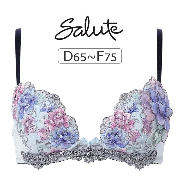 ワコール サルート 23G ブラジャー単品 フロントエックスプラスブラ DEFカップ アンダー 65/70/75cm BTJ723