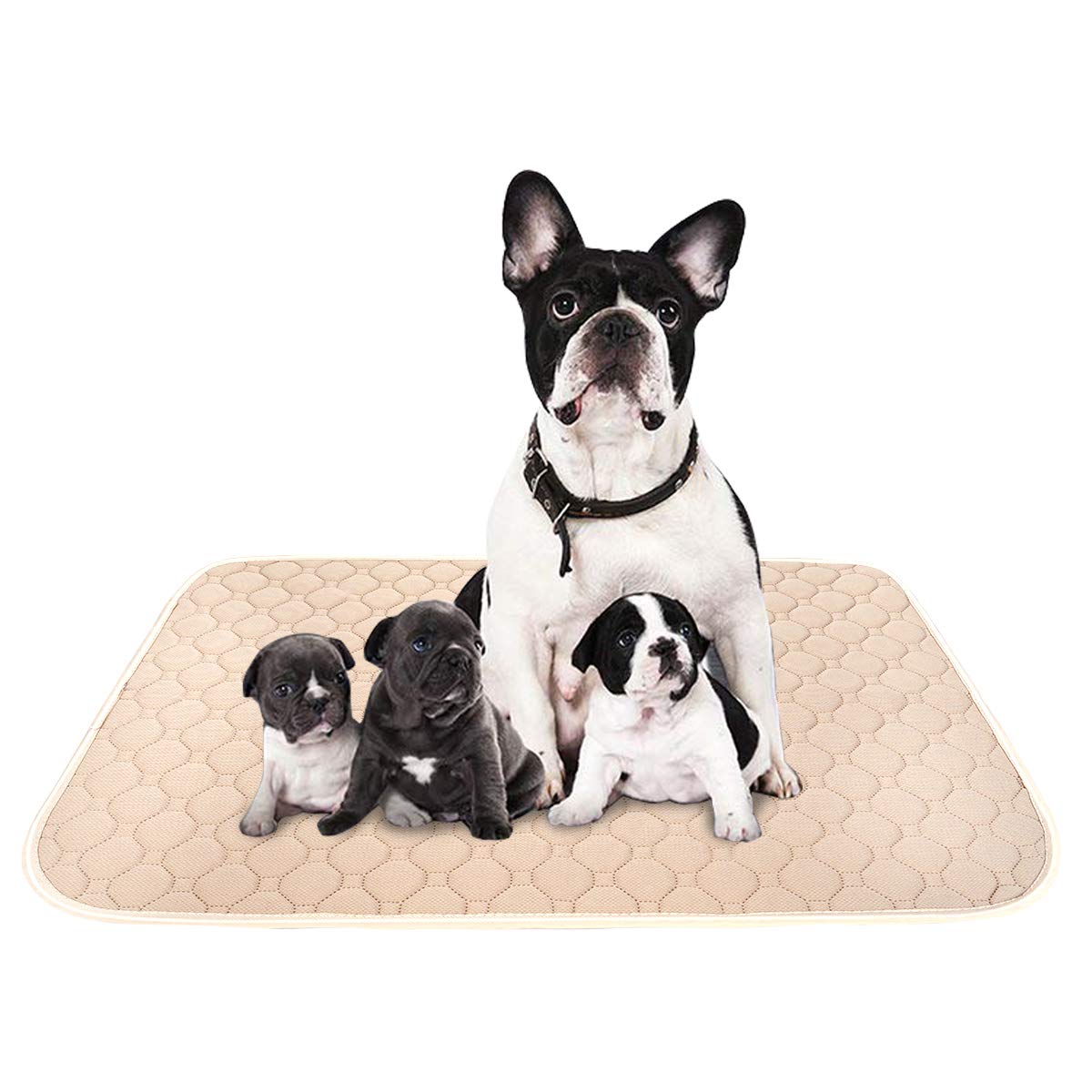 ULIGOTA ペットシーツ 洗える 猫 犬用 おしっこパッド ペット用 トイレ下敷きマット 速乾 洗える ポリエステル 大判サイズ 多頭飼いに最適(ベージュＸＬ 二枚セット)
