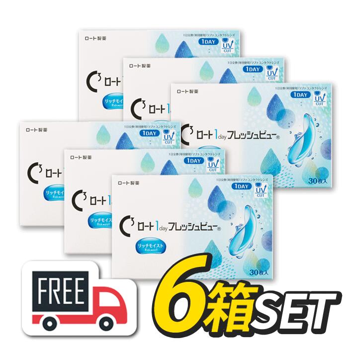 ロート ワンデーフレッシュビュー リッチモイスト 6箱（1箱30枚入）コンタクトレンズ 1日使い捨て 1day