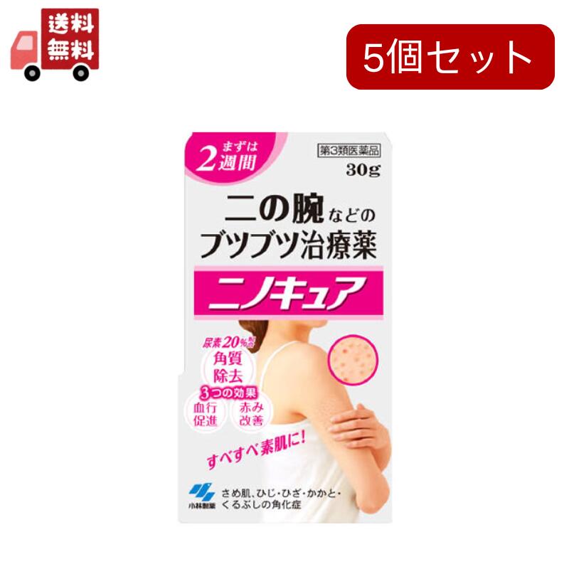 【第3類医薬品】5個セット 小林製薬ニノキュア(30g) 4,814円