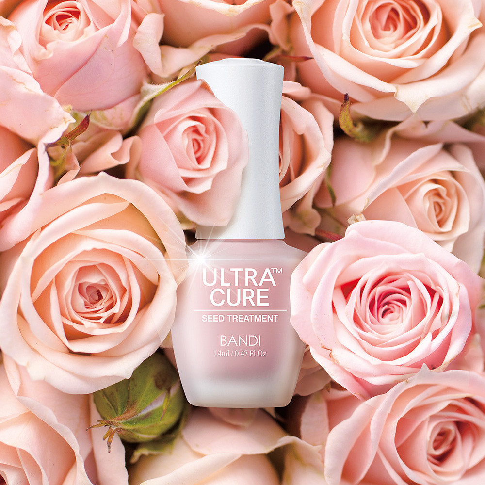 BANDI Ultra Cure CC Pink 14ml(made in korea) 5,394円