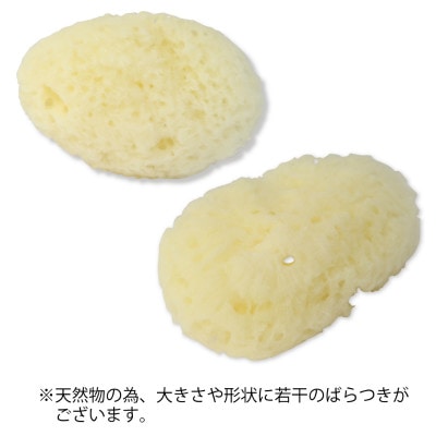 天然海綿 100個入 業務用 海綿 生理用品 女性人気 スキンケア