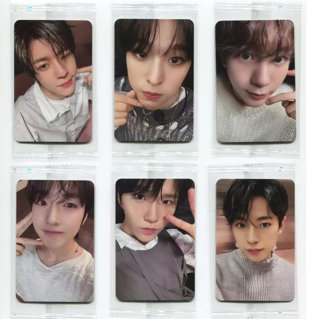 公式 nct wish Steady K4 特典 サイン会 nctwish 特典トレカ 公式グッズ 全員6枚セット