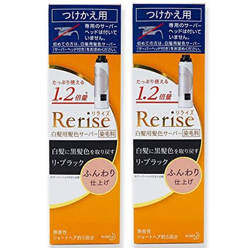 セット販売 花王 リライズ 白髪用髪色サーバー リ・ブラック ふんわり仕上げ つけかえ用 (190g)×2個セット染毛料 無香性