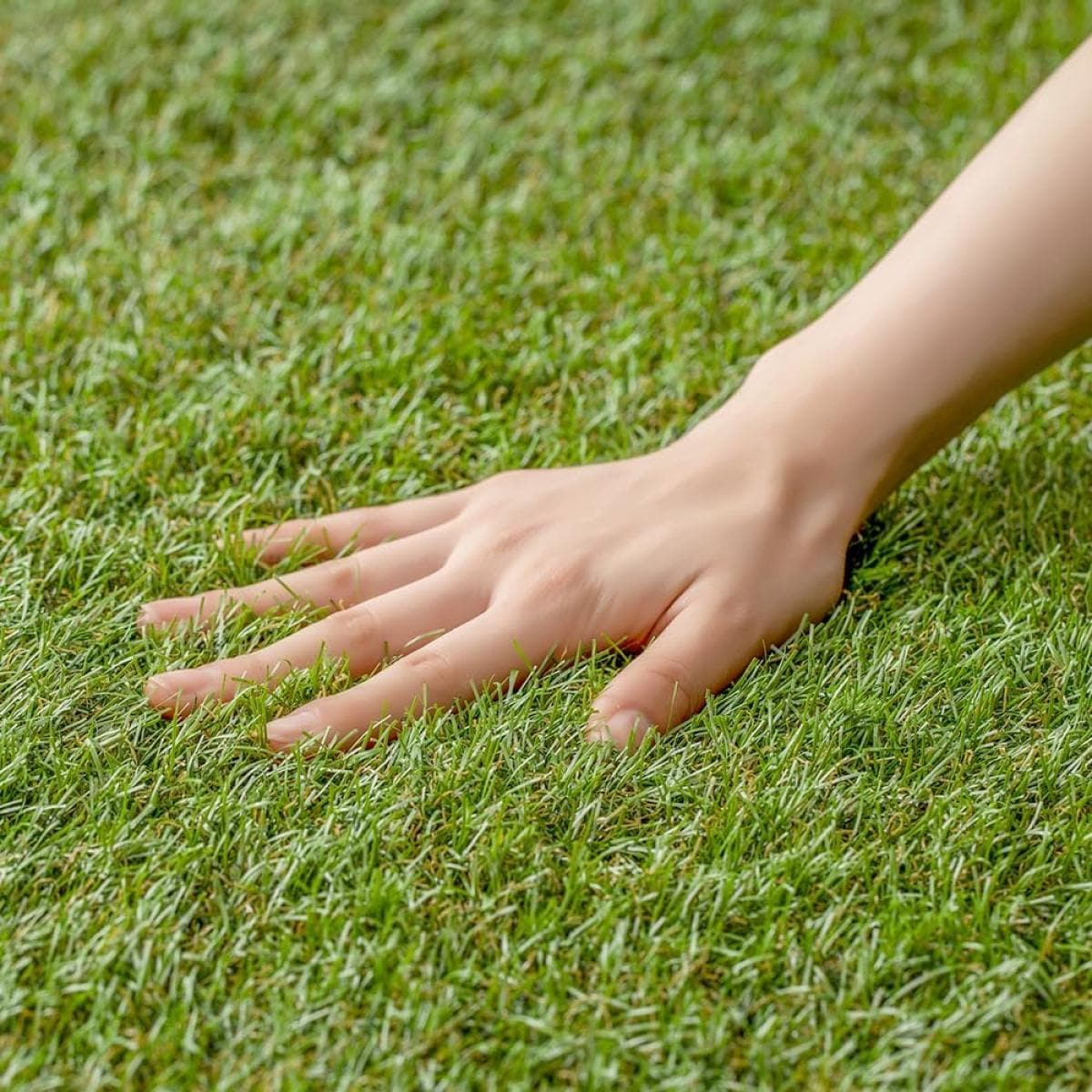 アイリスオーヤマ BPS-3015 遮熱防草人工芝 1m×5m 遮熱タイプ 防草シート不要 お手入れ不要 リアルな質感