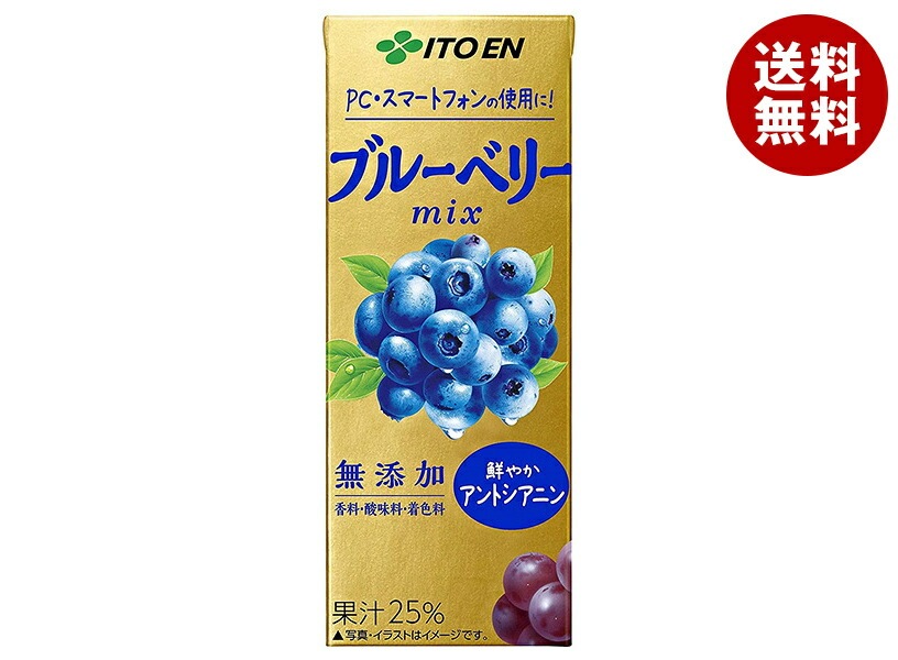 伊藤園 ブルーベリーぶどうmix 200ml紙パック＊24本入＊(2ケース) 5,248円