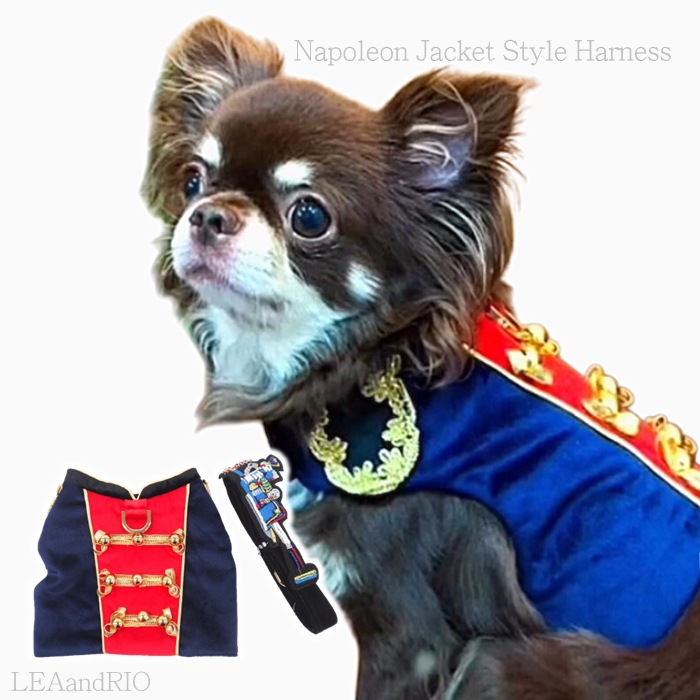 ナポレオンジャケット風ハーネス P807 4,788円