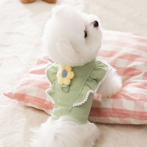 春と秋の犬服テディボーミペットのコキシナレビーベア秋冬服 牽引可能ペット衣類