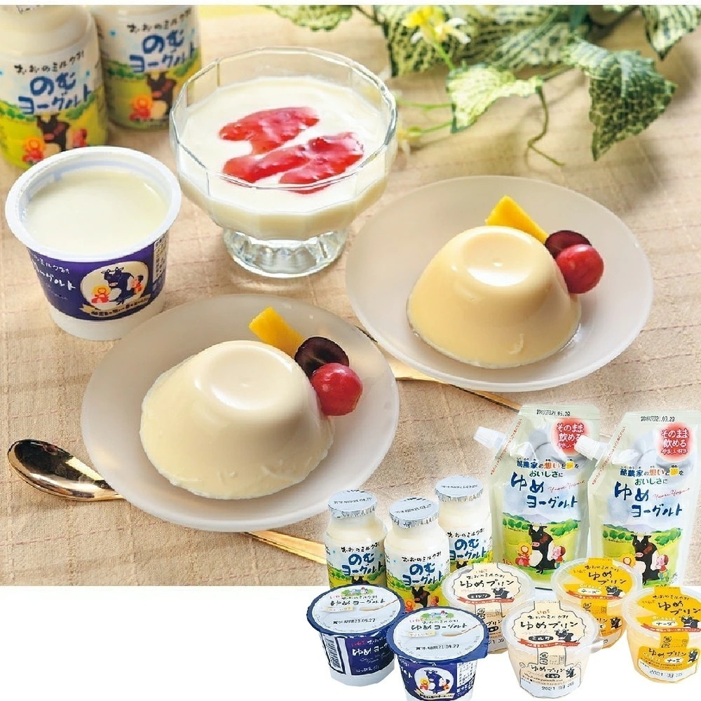 おおのミルク村乳製品セット 計11個入