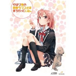 TVアニメ / やはり俺の青春ラブコメはまちがっている第2巻(Blu-ray) (初回限定版)