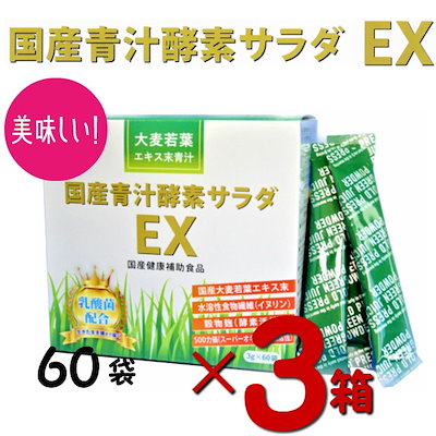 二代目 田辺雲斎作 漆 や竹花入 蘇鉄図