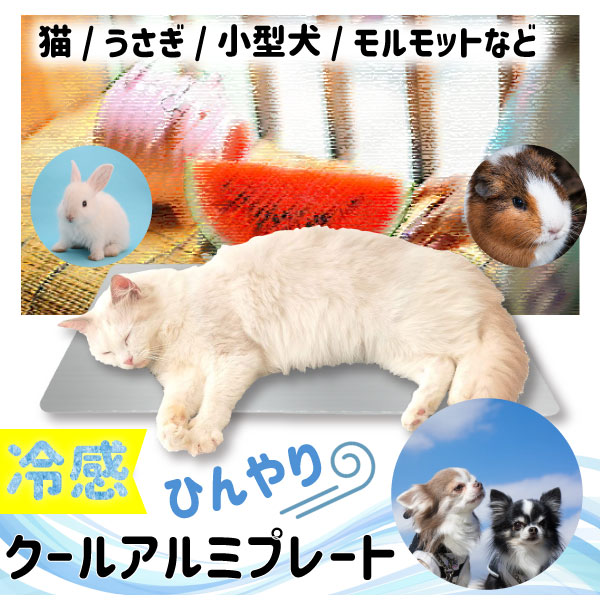 限定販売】 犬 猫用 アルミひんやりプレート zppsu.edu.ph
