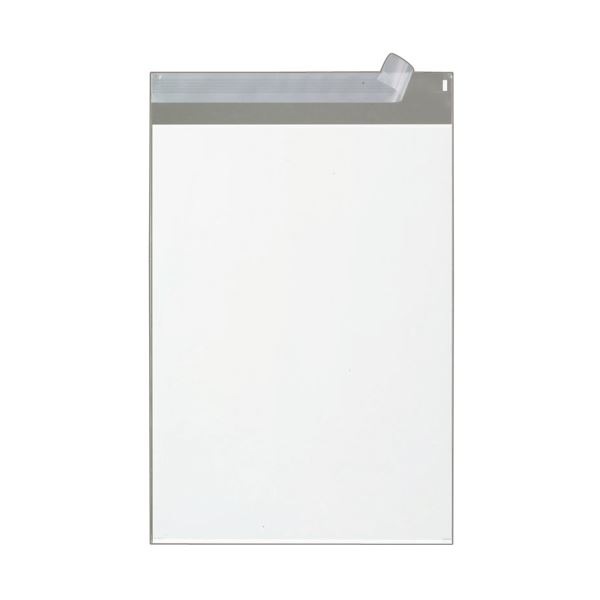 （まとめ） TANOSEE フィルム封筒エコノミー A4 1パック（100枚） (×5セット)