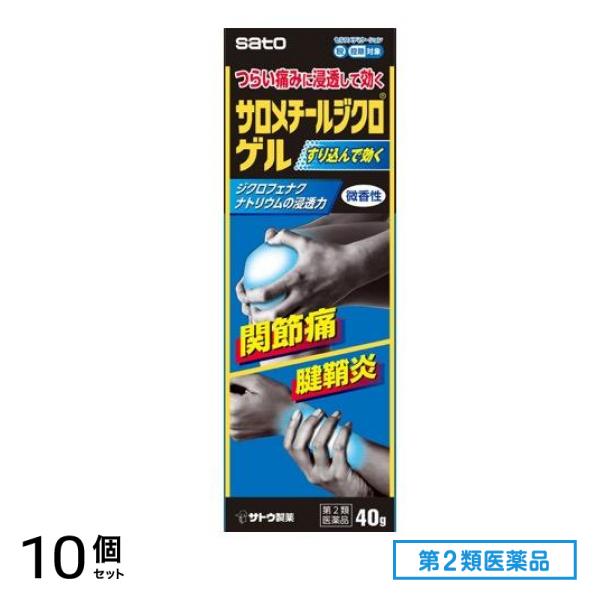 第２類医薬品 サロメチールジクロゲル 40g 10個セット