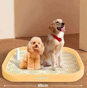 PP素材を採用犬 トイレ トレー おしゃれ トイレトレーニング ペットトレー ワイド ペット用 犬用トイレ トイレ本体 犬トイレ 犬のトイ トイレ容器 ペットトレー トイレトレーニング