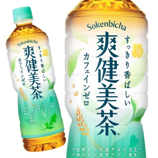 爽健美茶 600ml 48本 （24本入2ケース） 4,769円