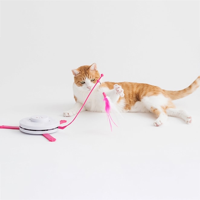 TF005キャッチよりテール猫自動おもちゃ/韓国配送/ペット用品